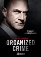 Закон и порядок: Организованная преступность смотреть онлайн сериал 1-3 сезон